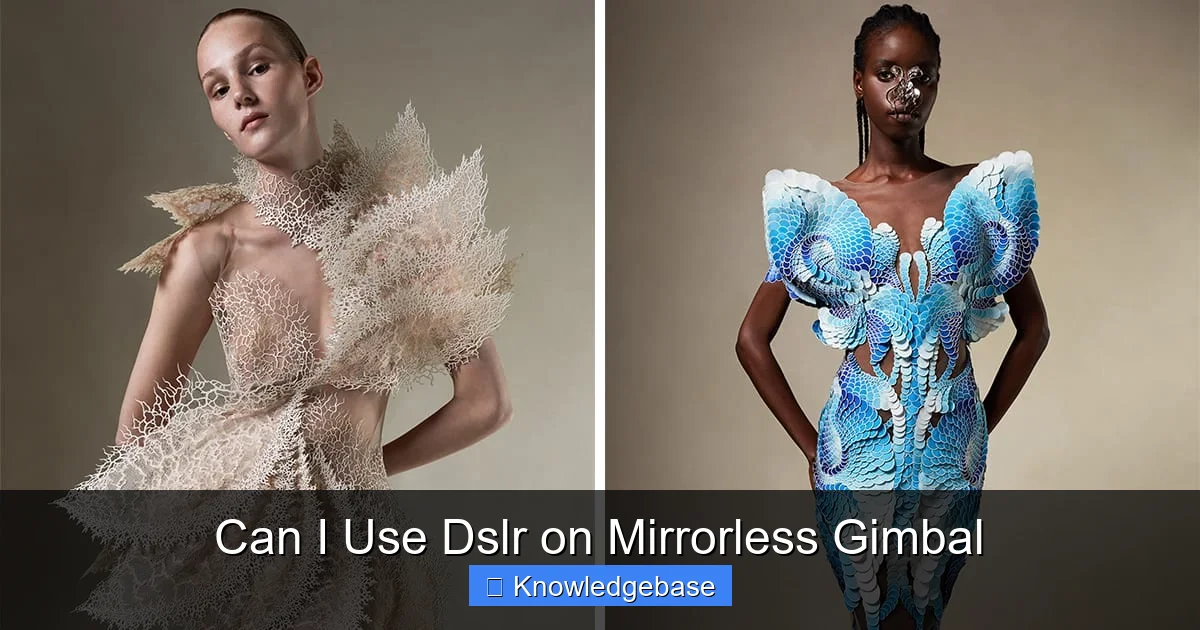Can I Use Dslr on Mirrorless Gimbal