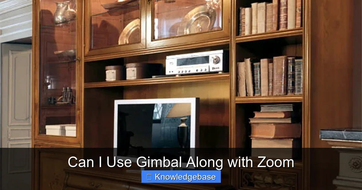 Can I Use Gimbal Along with Zoom