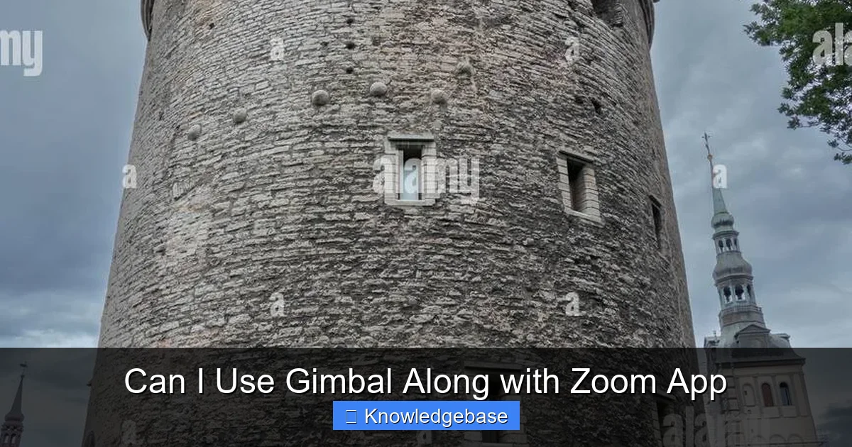 Can I Use Gimbal Along with Zoom App