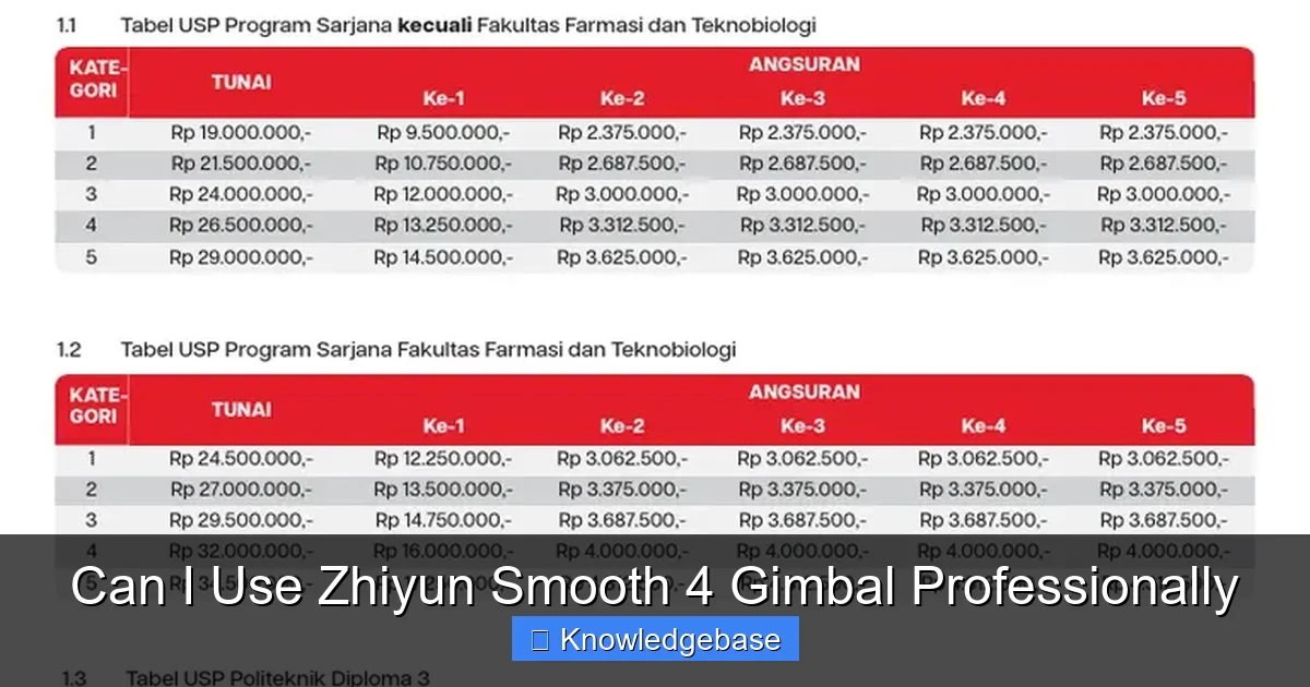 Can I Use Zhiyun Smooth 4 Gimbal Professionally