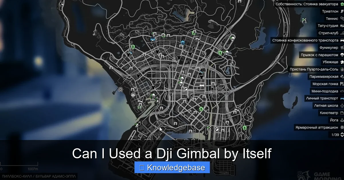 Can I Used a Dji Gimbal by Itself