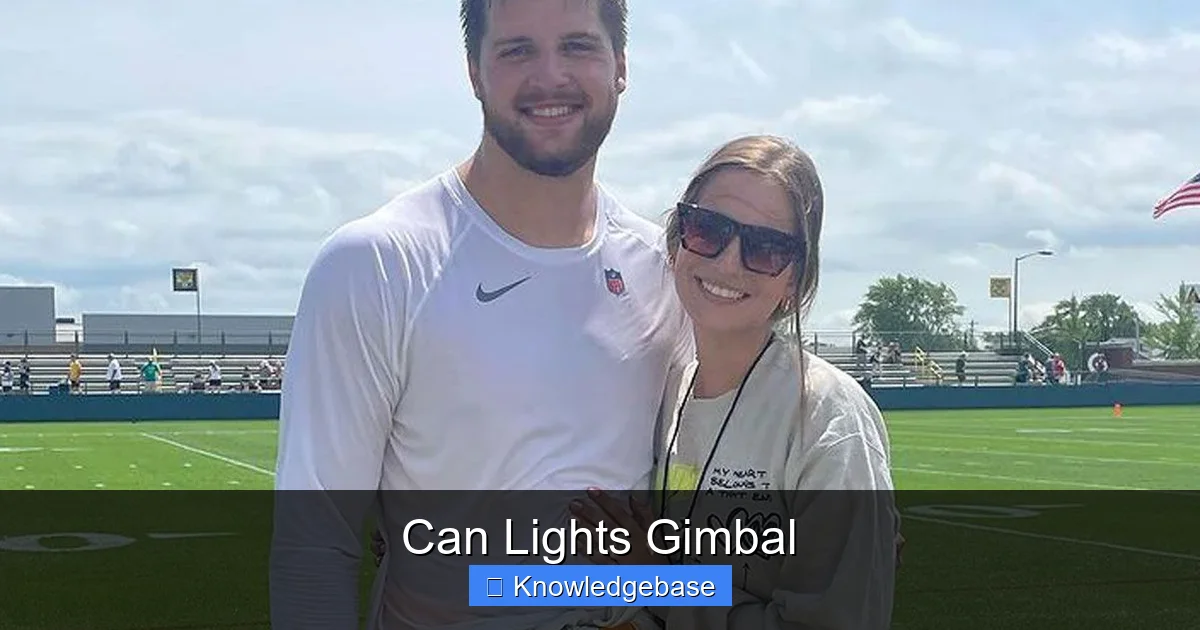 Can Lights Gimbal