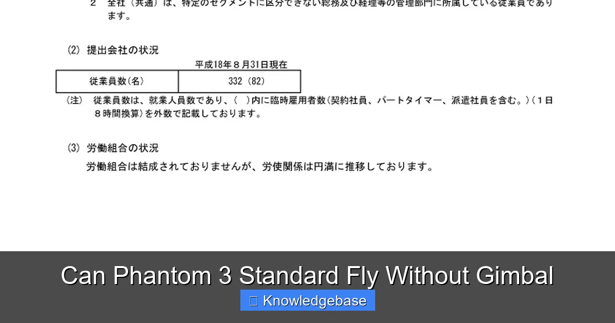 Can Phantom 3 Standard Fly Without Gimbal