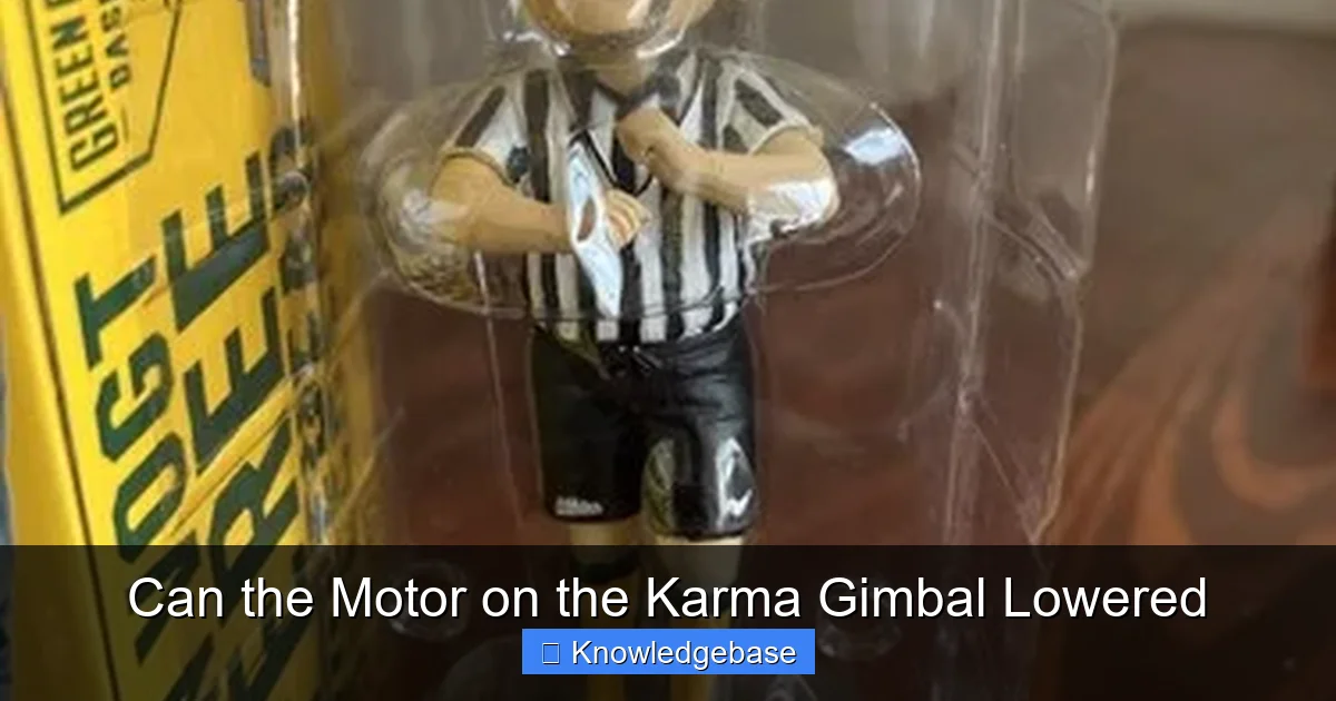 Can the Motor on the Karma Gimbal Lowered