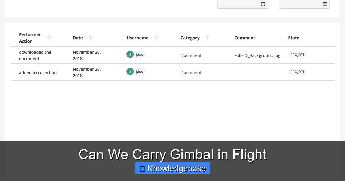 Can We Carry Gimbal in Flight