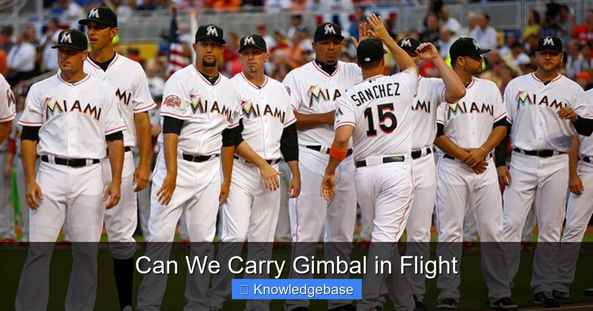 Can We Carry Gimbal in Flight