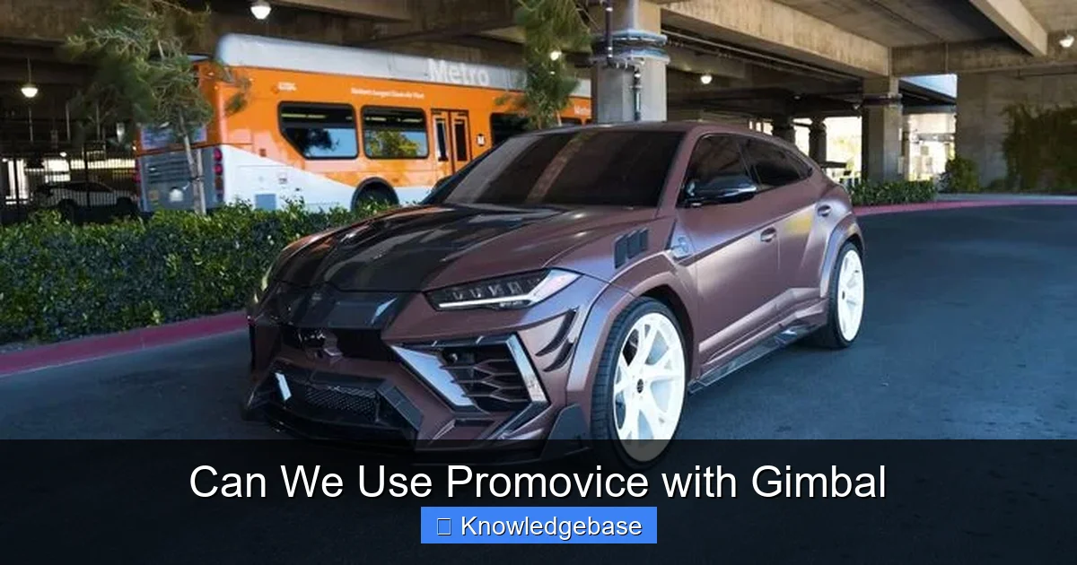 Can We Use Promovice with Gimbal