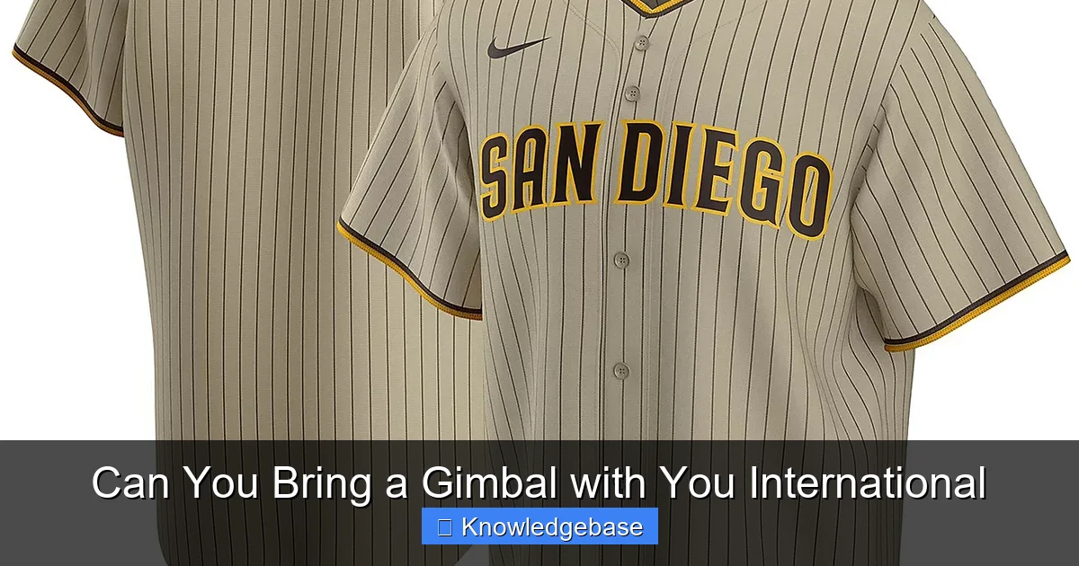 Can You Bring a Gimbal with You International