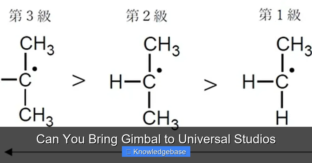 Can You Bring Gimbal to Universal Studios