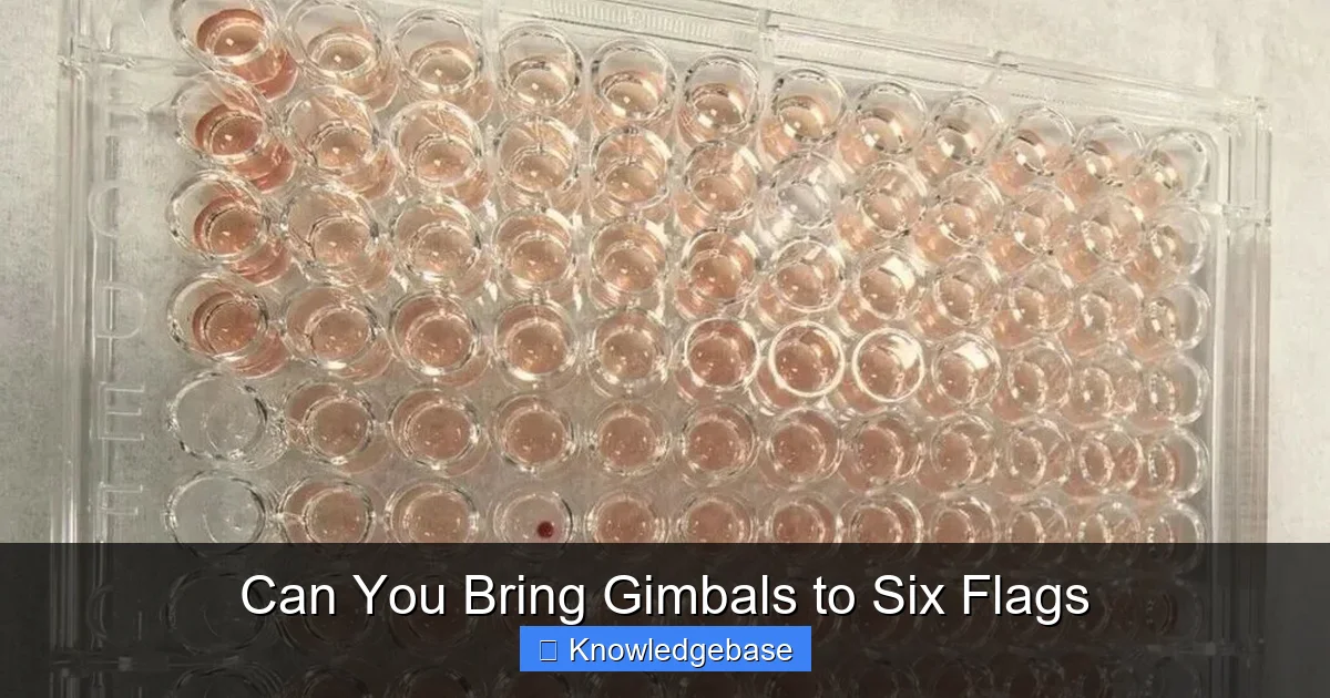 Can You Bring Gimbals to Six Flags