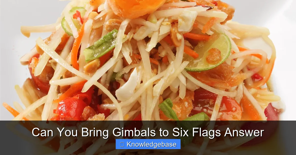 Can You Bring Gimbals to Six Flags Answer