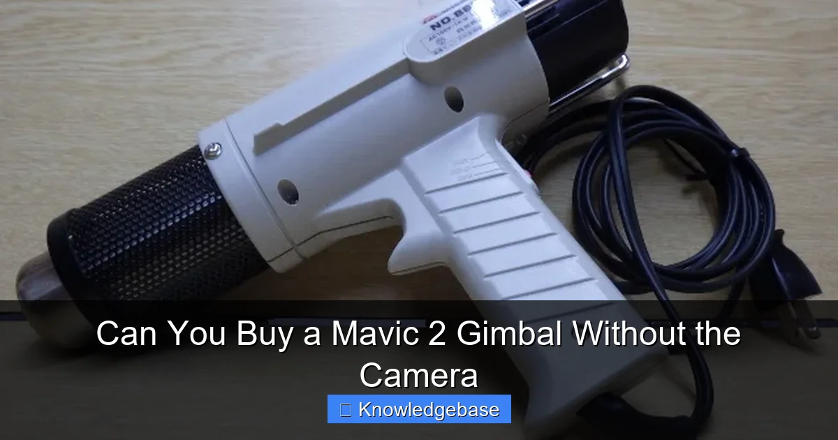 Can You Buy a Mavic 2 Gimbal Without the Camera