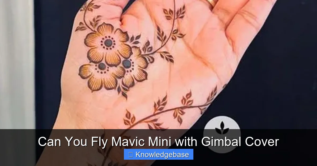 Can You Fly Mavic Mini with Gimbal Cover