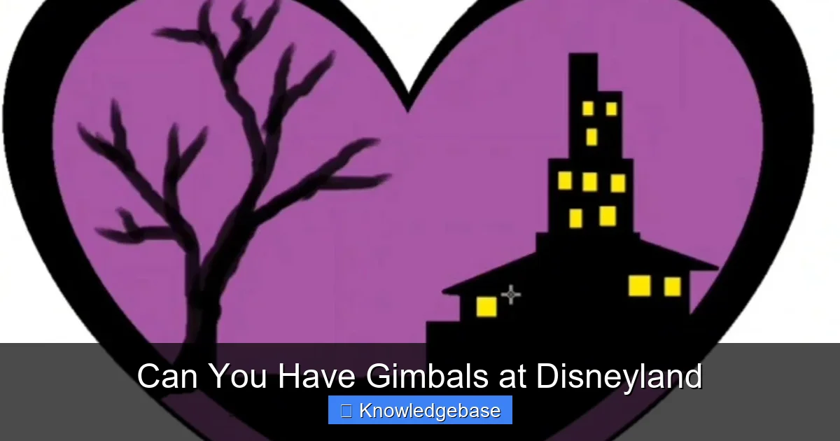 Can You Have Gimbals at Disneyland
