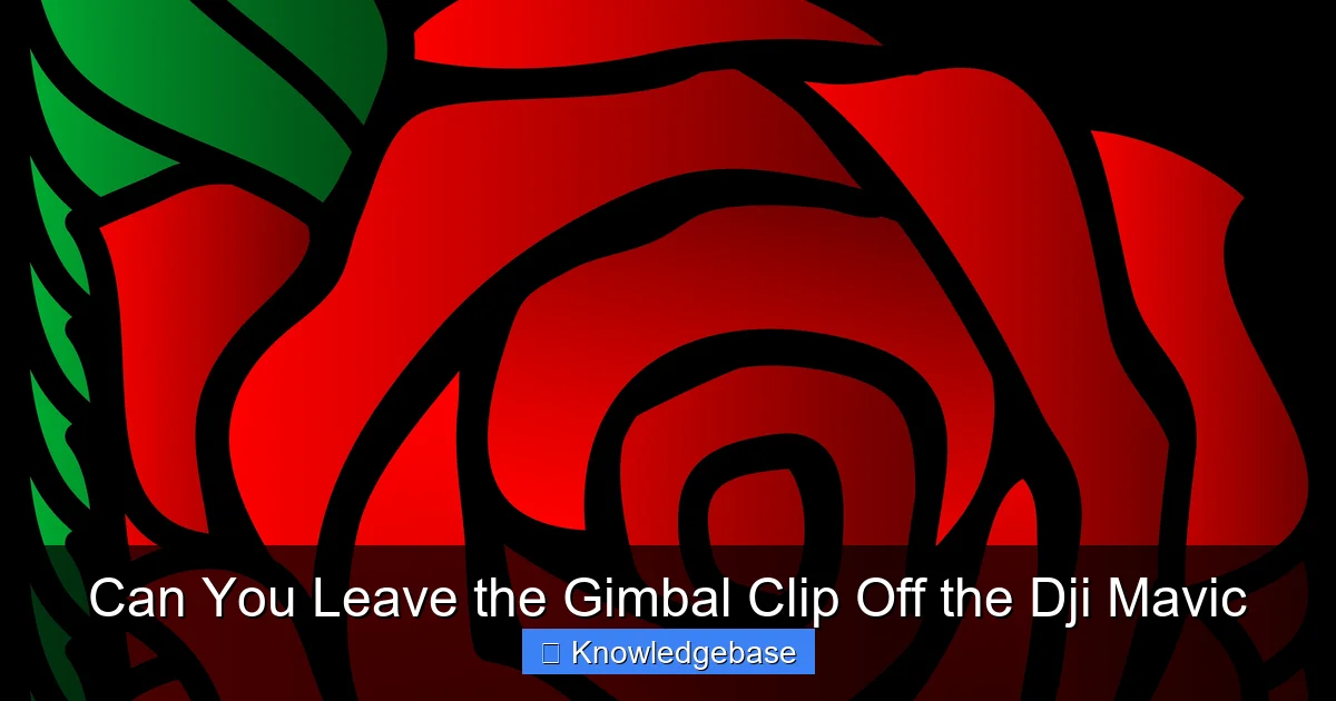 Can You Leave the Gimbal Clip Off the Dji Mavic