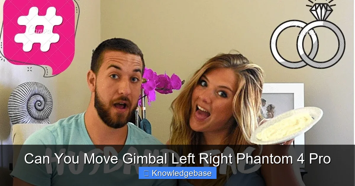 Can You Move Gimbal Left Right Phantom 4 Pro