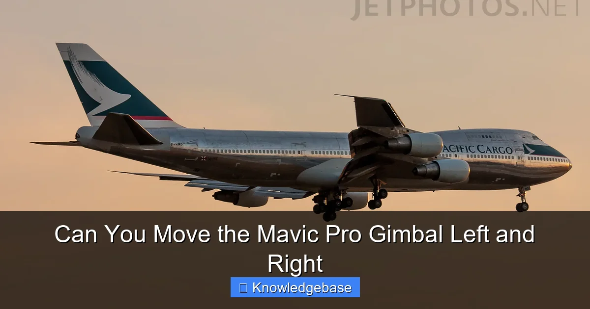 Can You Move the Mavic Pro Gimbal Left and Right