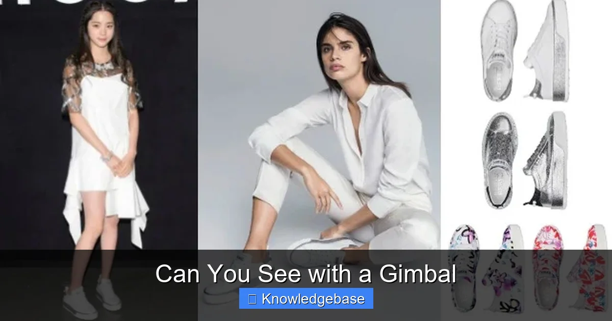 Can You See with a Gimbal