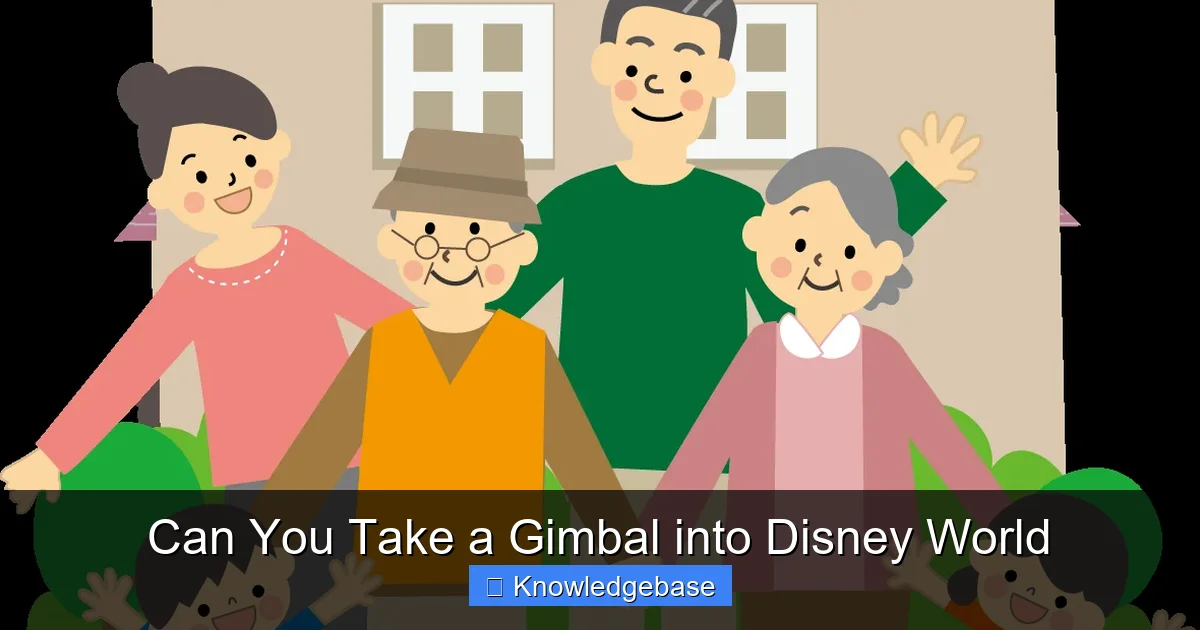 Can You Take a Gimbal into Disney World