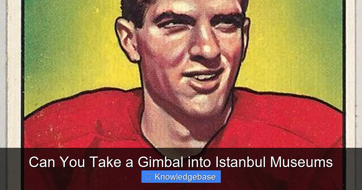 Can You Take a Gimbal into Istanbul Museums