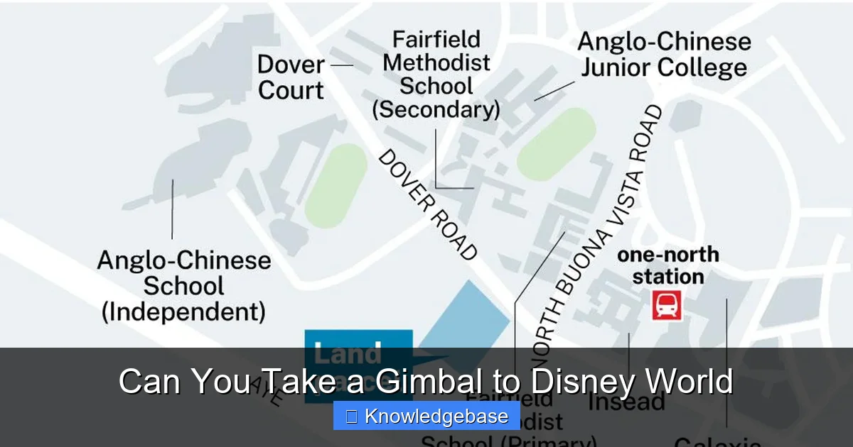 Can You Take a Gimbal to Disney World