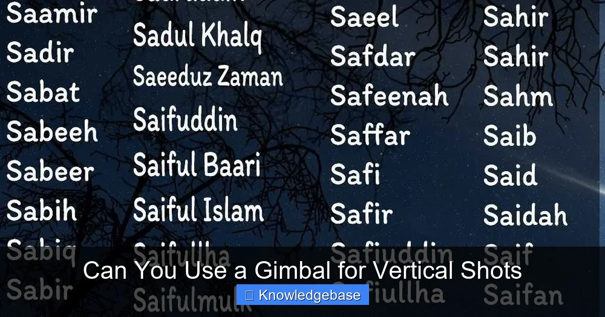 Can You Use a Gimbal for Vertical Shots