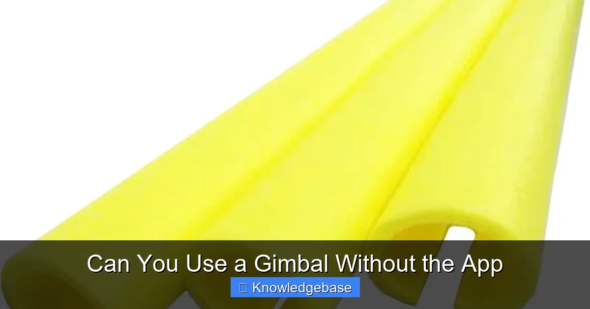 Can You Use a Gimbal Without the App