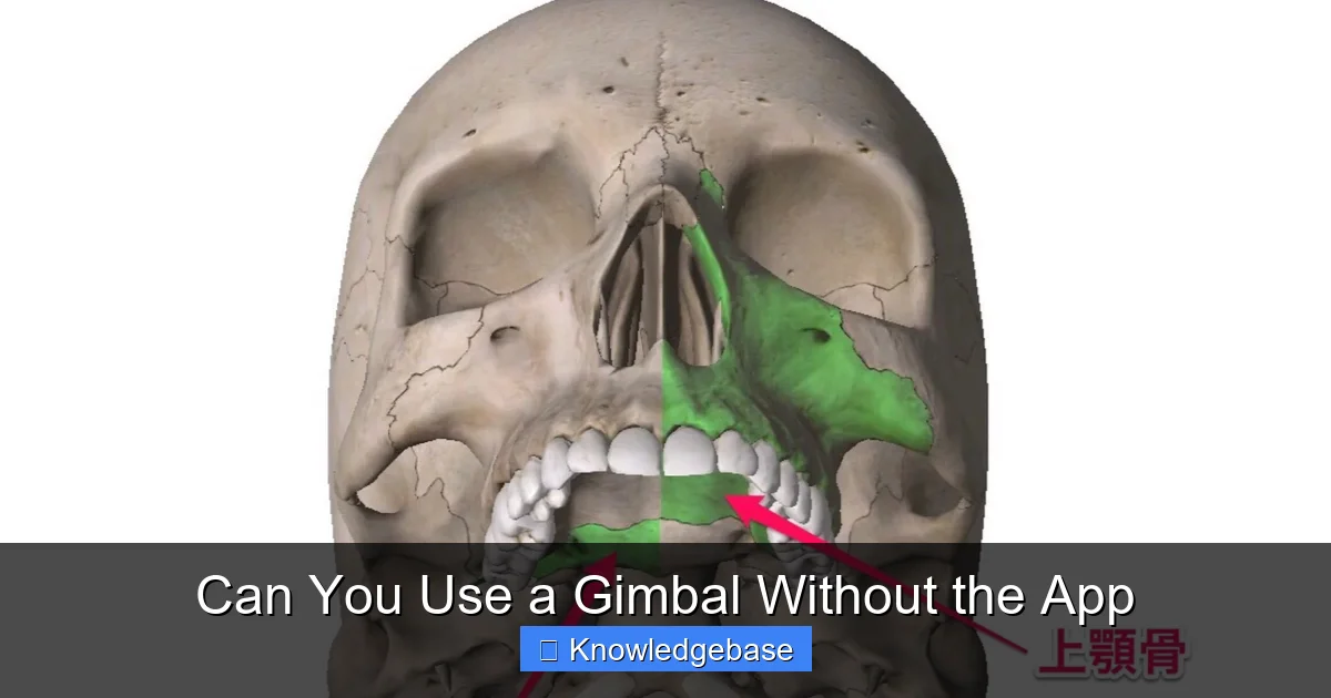 Can You Use a Gimbal Without the App