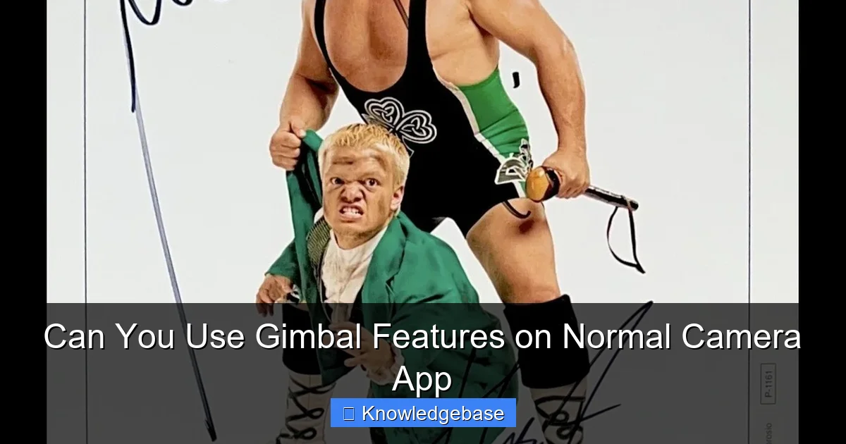 Can You Use Gimbal Features on Normal Camera App