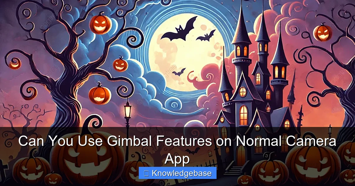 Can You Use Gimbal Features on Normal Camera App