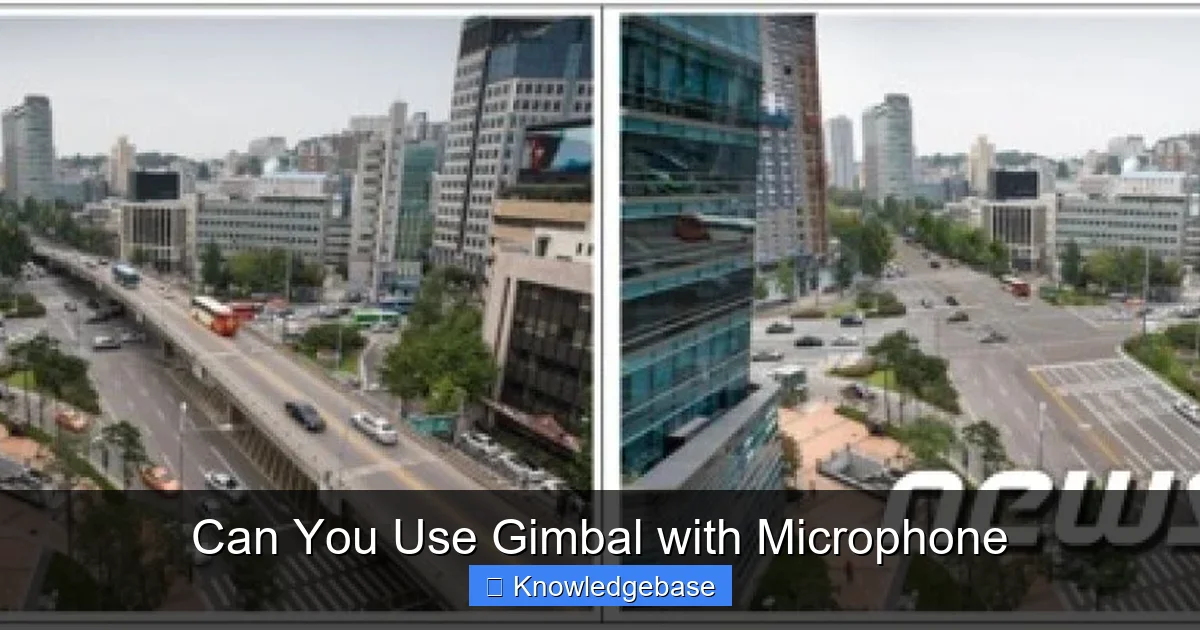 Can You Use Gimbal with Microphone