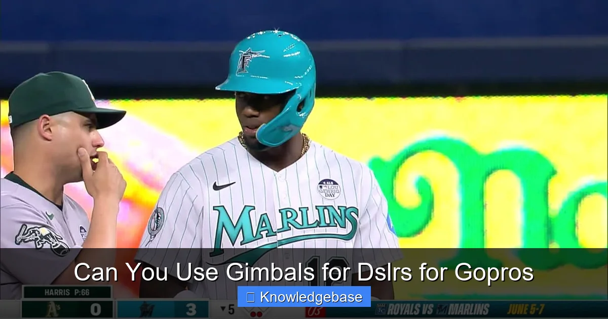 Can You Use Gimbals for Dslrs for Gopros