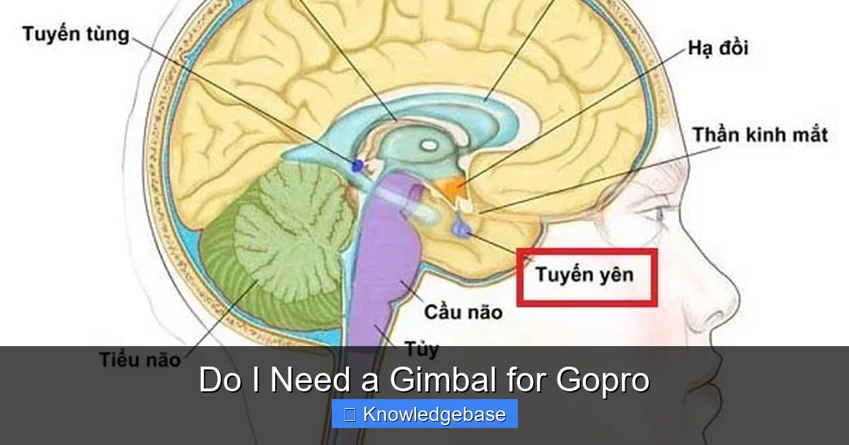 Do I Need a Gimbal for Gopro